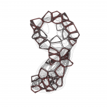 A Day in Asia 202112271531