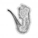 A Day in Asia 202112280552