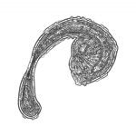 A Day in Asia 202201011209