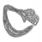 A Day in Asia 202201012218