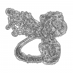 A Day in Asia 202201020929