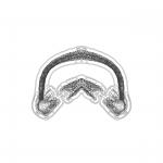 A Day in Asia 202201030143