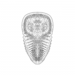 A Day in Asia 202201050242