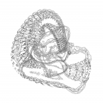 A Day in Asia 202201070658