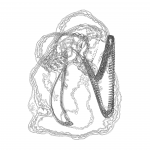 A Day in Asia 202201091605