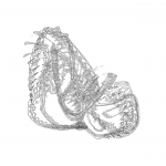 A Day in Asia 202201111947