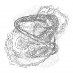 A Day in Asia 202201162214