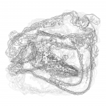 A Day in Asia 202201182156