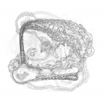 A Day in Asia 202201191102