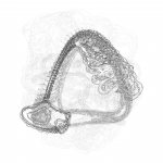 A Day in Asia 202201201345