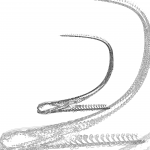 A Day in Asia 202201221648