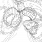 A Day in Asia 202201232217