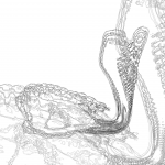 A Day in Asia 202201241919