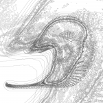 A Day in Asia 202202012015