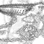 A Day in Asia 202202101214