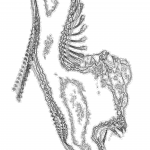 A Day in Asia 202202110507