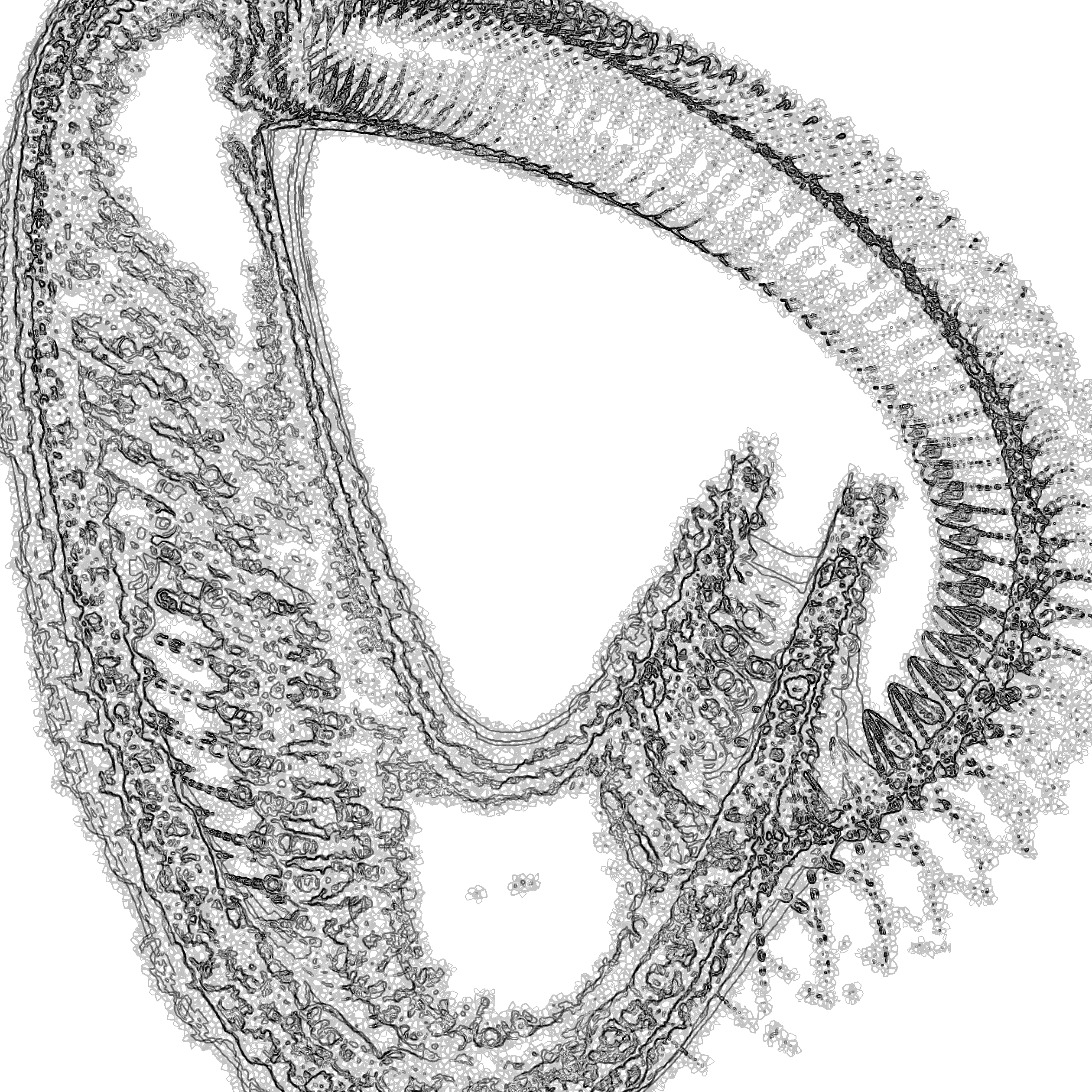 A Day in Asia 202202150400