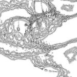 A Day in Asia 202202171733