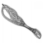 A Day in Asia 202202191501