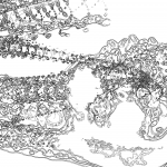 A Day in Asia 20220211714