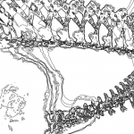 A Day in Asia 202202261754