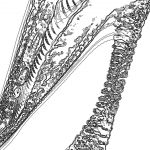 A Day in Asia 202202261853