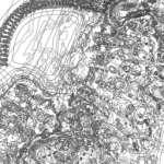 Just alive (with no particular aim) 20220126