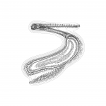 A Day in Asia 202203040322