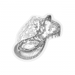 A Day in Asia 202203042337