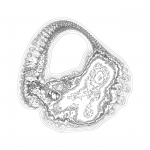 A Day in Asia 202203051359