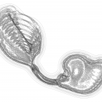 A Day in Asia 202203090849