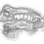 A Day in Asia 202203090925