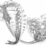 A Day in Asia 202203100536