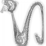 A Day in Asia 202203101807