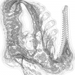 A Day in Asia 202203111434