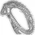 A Day in Asia 202203141106