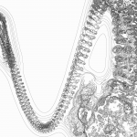 A Day in Asia 202203152117