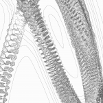 A Day in Asia 202203210707