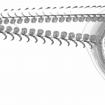 A Day in Asia 202203231814