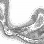 A Day in Asia 202203240829