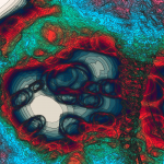 A Day in Asia 202203260541