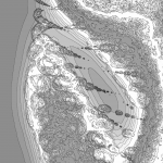 A Day in Asia 202203280546