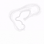 Study of "Kumagusu(tentative name)" 20220305