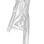 Just alive (with no particular aim) 20220226