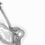 Just alive (with no particular aim) 20220313