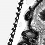 A Day in Asia 202203311211