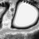 A Day in Asia 202204010048