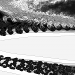 A Day in Asia 202204021648