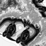 A Day in Asia 202204022016