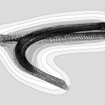 A Day in Asia 202204041517